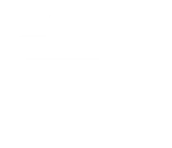 chat icon