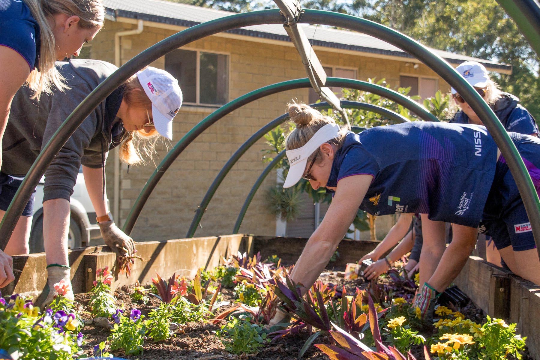 Sunshine Coast Lightning Volunteering at Compass Farm